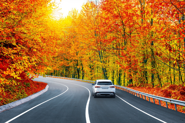 Image shows a scene with the trees turning autumn colors.